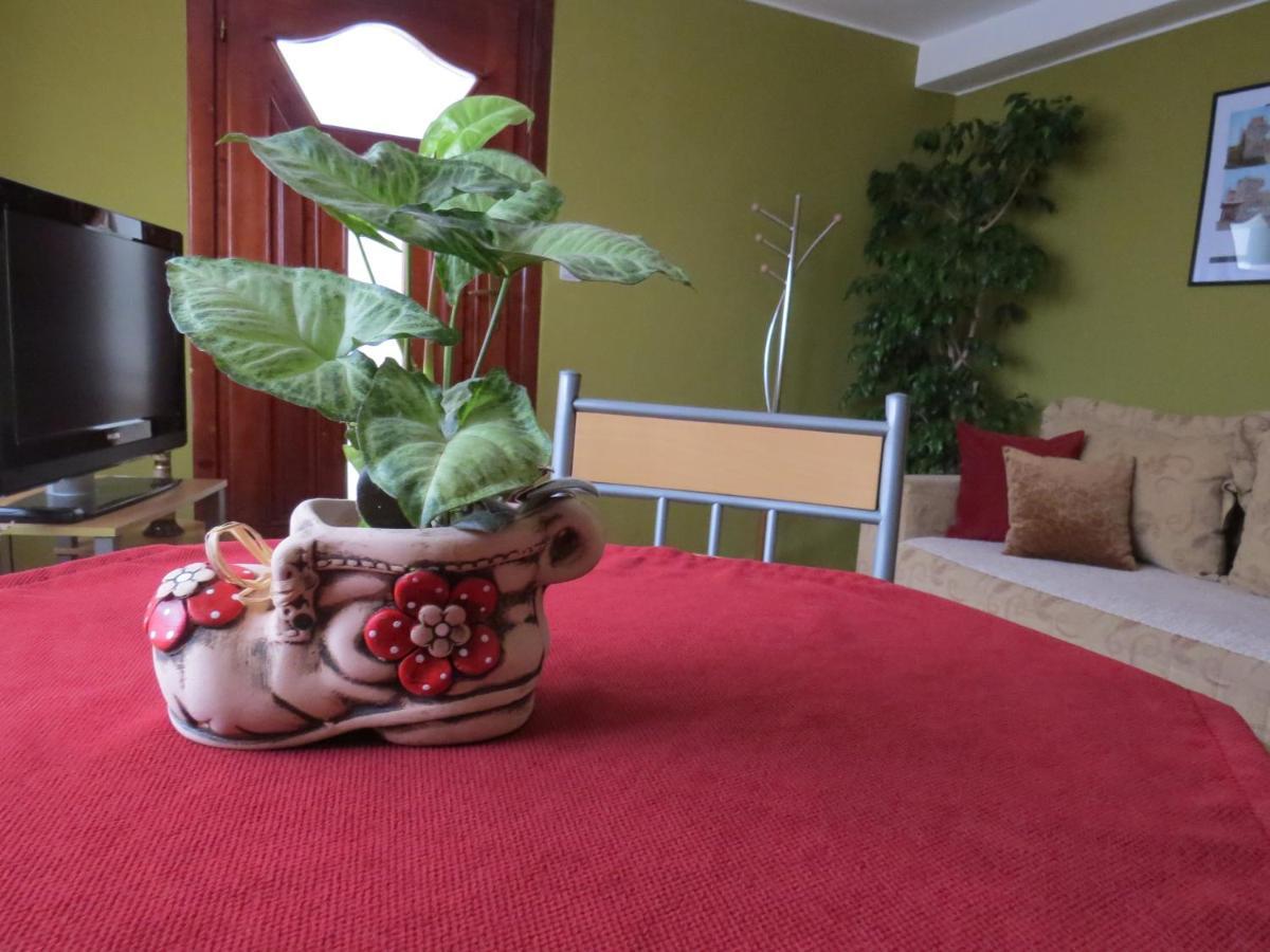 Apartman Bilja Врнячка-Баня Экстерьер фото